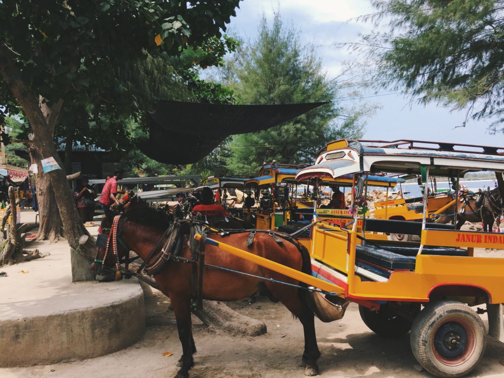 Taxi standplaats Gili Trawangan