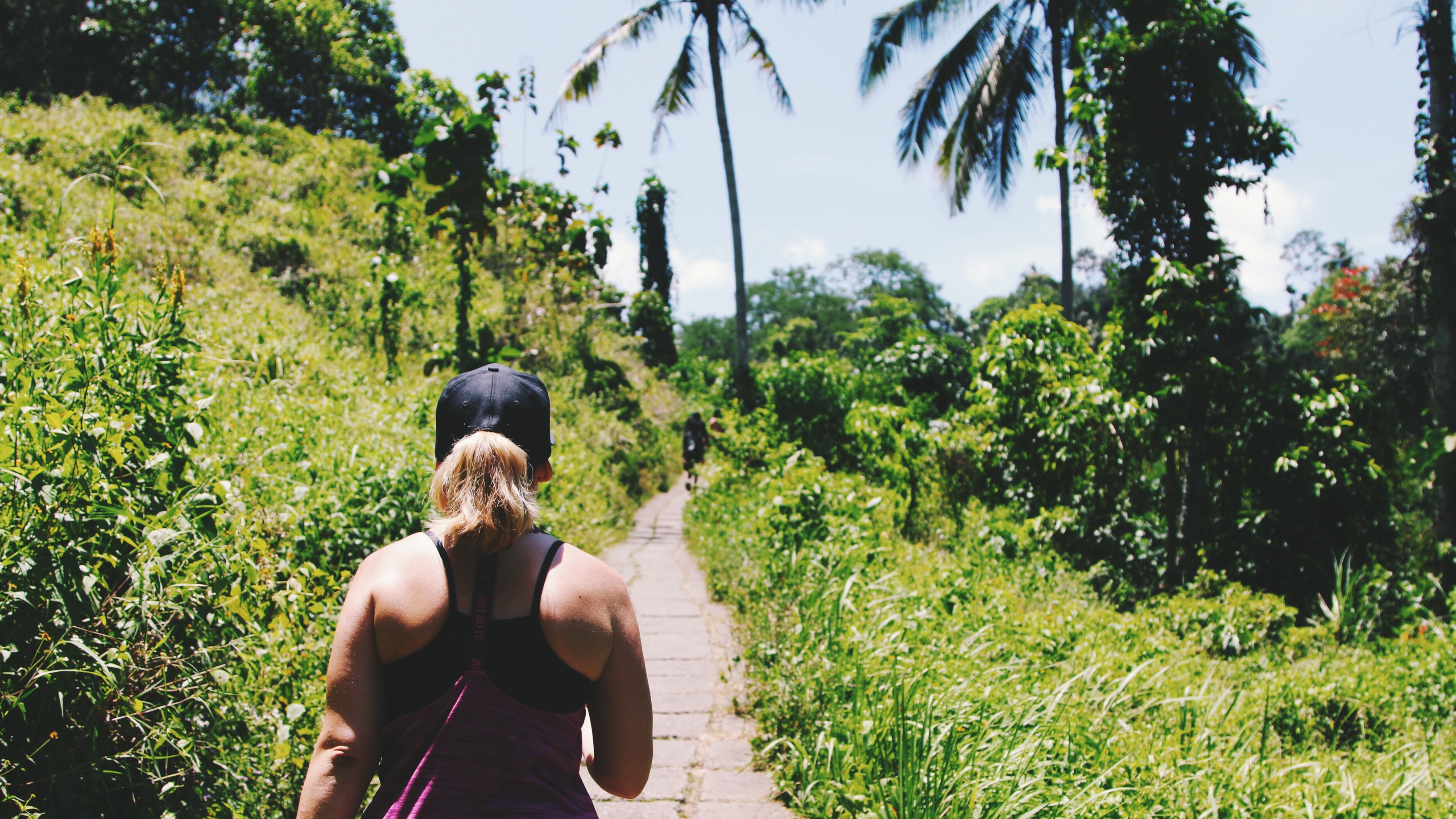 Campuhan Ridge Walk ?